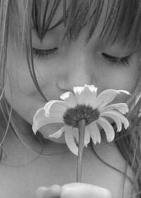 Sofijiskaja_Da's profile picture. 