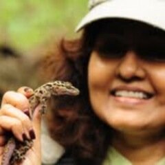 Business woman, Founder of a school for girls, author, passionate about animals especially reptiles.