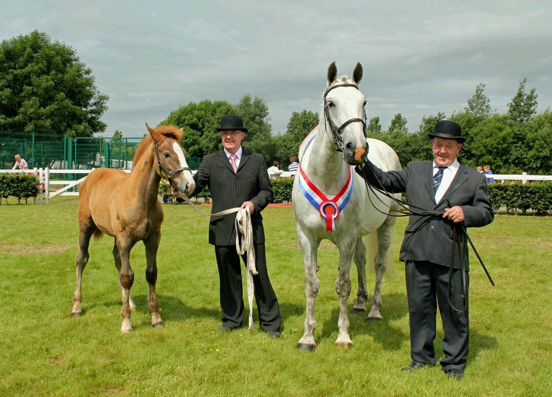 gillion_mc's profile picture. 