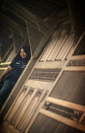 Time traveller, dream chaser