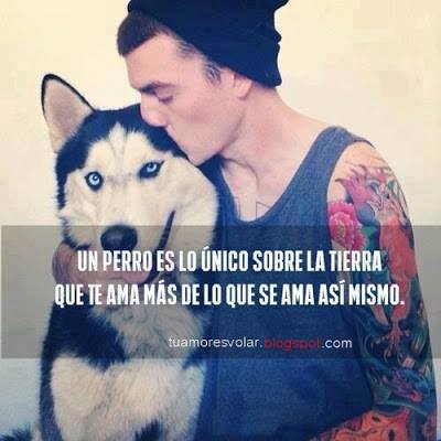 FrancodeLPon's profile picture. Soy Amante alos Perros... Aguante Argentinos Juniors :)