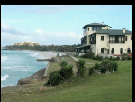 pandagold25's profile picture. 