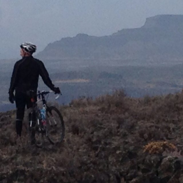 Ttaurus33's profile picture. 