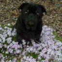 Lisa Kuck - @grammaweesa - Twitter