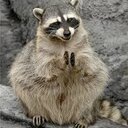 Julia Kimbrough - @juliette1001996 - Twitter