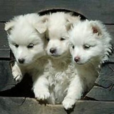 つなこん