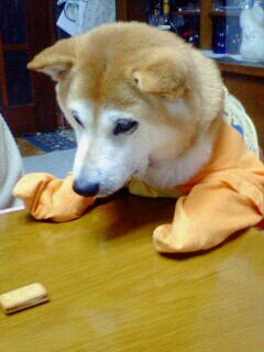 あーーー