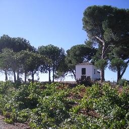 FlorAlvarezdeTo's profile picture. 42 años de titular de farmacia comunitaria. Socia fundadora de REAP y de la Fundación Pharmaceutical-Care. Casada, 3 hijos y 6 nietos.