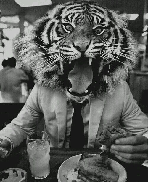 Diaz__Camila's profile picture. cazadora de sombras,escultora de mantequilla,mendiga,habitante de la calle y patinadora/Read a book muggle... #Followme/  1/2  / Be my Parabatai♥