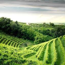 #VALDOBBIADENE #PROSECCO SUPERIORE DOCG #Sparkling #Wine.... where #Cartizze reaches the Sky #passion #winelovers #winemakers