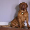 Jan Bennett - @Sanarael - Twitter