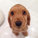 David Yue - @davidyueuk - Twitter