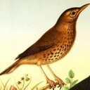 Ellie Ava - @EllieAvaWren - Twitter