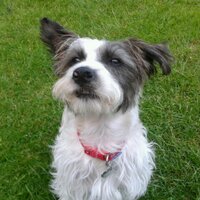 ruth preston (@mrsrufus) 's Twitter Profile