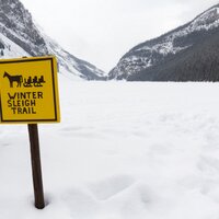 Kirstin Bouwsema (@mamasquirrel1) 's Twitter Profile