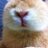 694yuyu's profile image