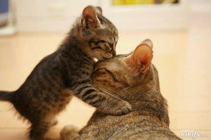 ‏‏‏آلَقُلَوٌبً آلَبًريِئہ لَآ تٌـنِسِـى مًنِ آهّـتٌـمً بًهّـآ يِوٌمًًآ ⁽১₎ 