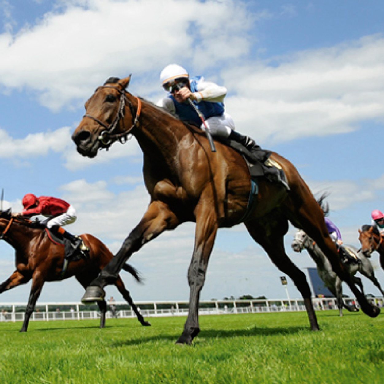 shorehamstreet's profile picture. Football, photography, horses, derelict places