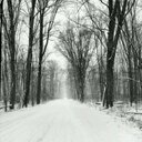 Dan LeFevre - @DanHoytmaxxis35 - Twitter