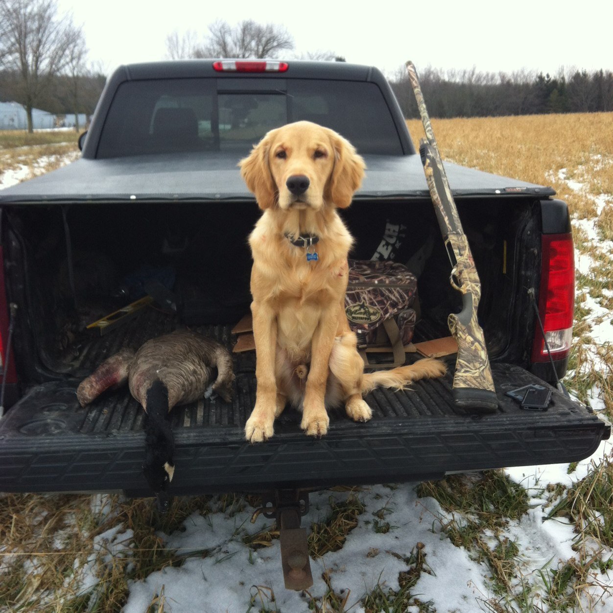 firedude124's profile picture. 