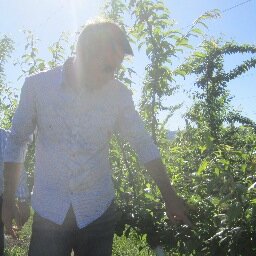 Applied whole-tree physiologist leading a research and extension team at Washington State University's Irrigated Agriculture Research and Extension Center.