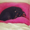 Donna Martz - @donnamartz67 - Twitter