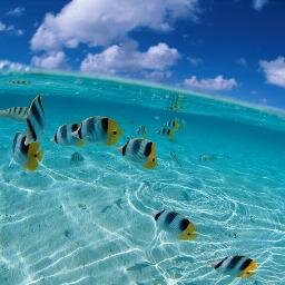 TamaraR95064924's profile picture. El deporte e ir de compras con mis amigas me apasiona. 22, Cáceres.