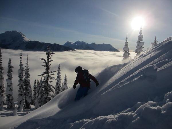 BForte1130's profile picture. Huntington, NY - Denver, CO