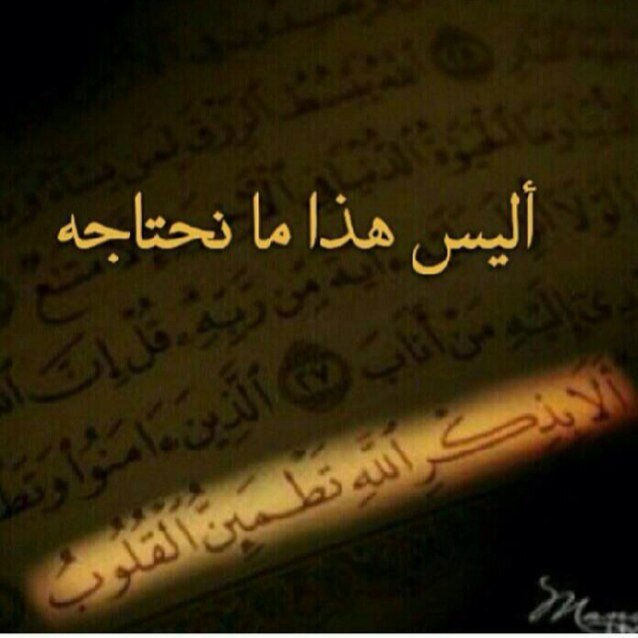 SHWshwoo's profile picture. 