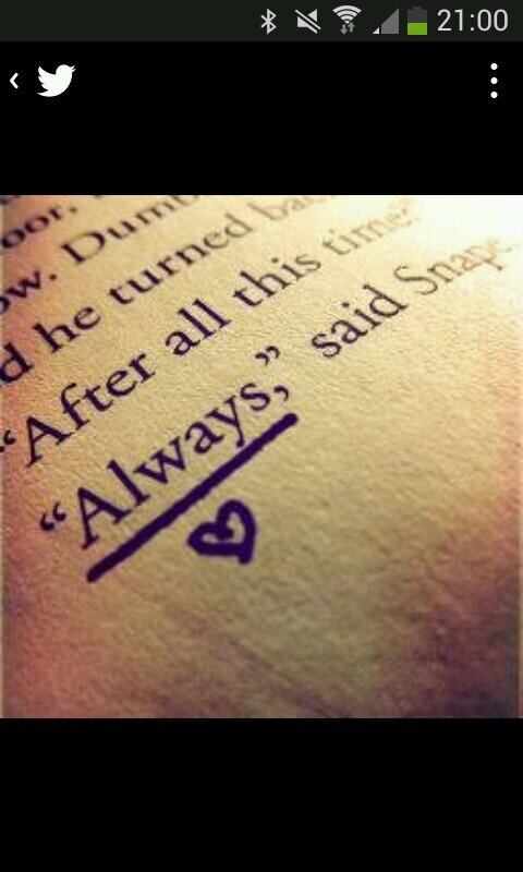 Tweeting the most beautiful things about the Harry Potter Story!