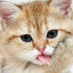 riaridza's profile picture. Spending my time sleeping, eating, shopping till i drop..