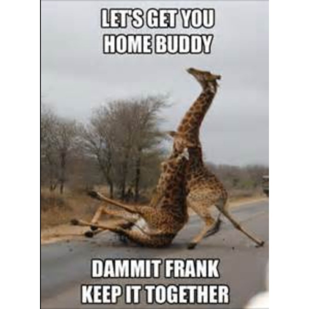 total_DABmove's profile picture. DAB experiences coming at you live from Chico State