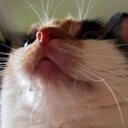 Suzanne - @suzanne_ashton - Twitter