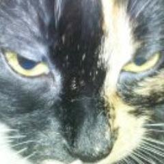 StephenA1005's profile picture. 