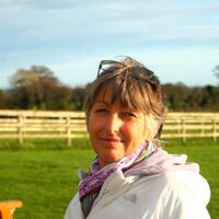 June Persson (@junepersson) 's Twitter Profile Photo June Persson (@junepersson) 's Twitter Profile Photo