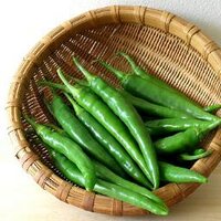 Chilli Vanilli (@chilligobble) Twitter profile photo