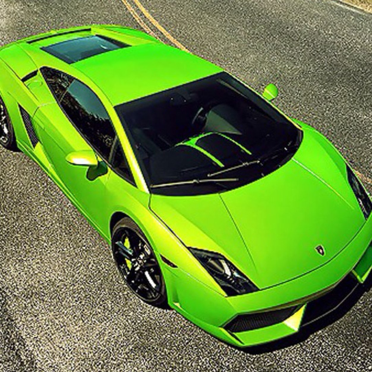 plainlazy222's profile picture. 