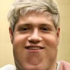 Niall Horan Twitter Niall Horan Twitter