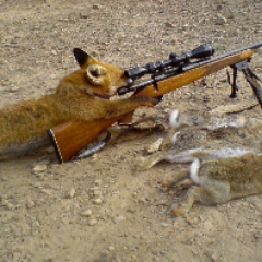 robsoutsideworl's profile picture. Outdoors sports hunting, fishing, camping is what we are all about! You will find great products at low prices with the quality you are looking for!