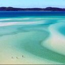 alison windsor - @alisonwindsor - Twitter