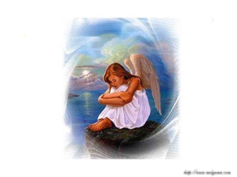 Reginabetalab's profile picture. 