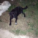 Isabella vitale - @Isabellavitale9 - Twitter