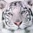 ArcillaFria's profile image