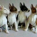 fernando cepeda - @fernandocd21 - Twitter