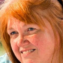 Immediate Past Chair of the Williamson County Democratic Party (TX)