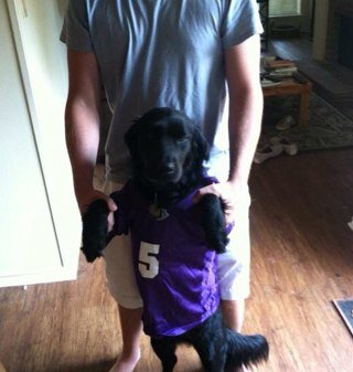 AlexPeirce1's profile picture. Yo soy Alejandro. Me gusta tacos.