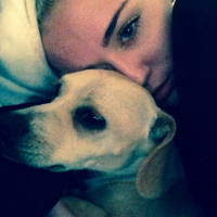Bean Cyrus (@beanbcyrus) 's Twitter Profile