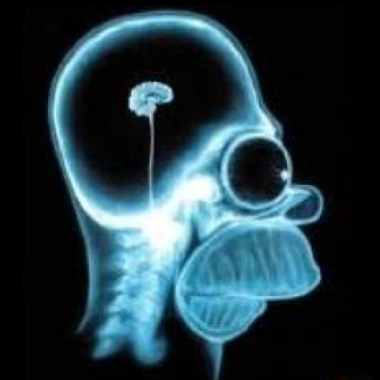 shakes250's profile picture. I would like to thank my arms, for always being by side. My legs, for always supporting me, & my fingers…because I can always count on them.