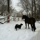 Roberta Maxwell - @dashersmom1 - Twitter