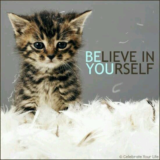 bluebriar42's profile picture. TNM Nerd #15308  I am an amateur photographer, who likes reading, travel and history.  I am studying BA Arts at Uni.  Life is a challenge to be embraced.